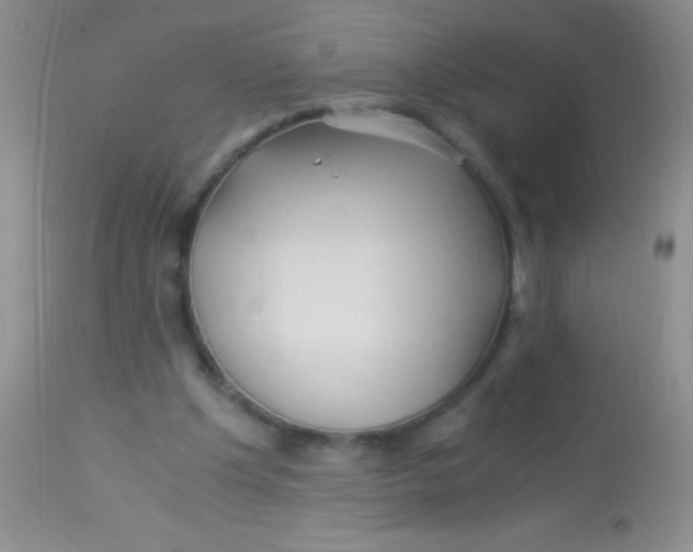 X0000112900201200909181944