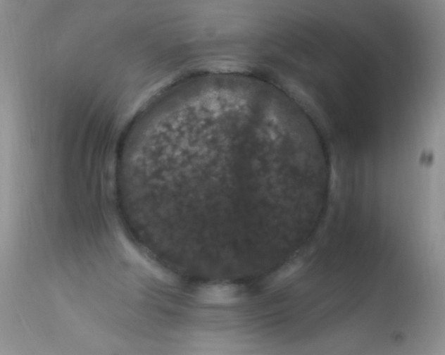 X0000112900202200909181944