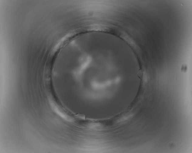 X0000112900203200909181944