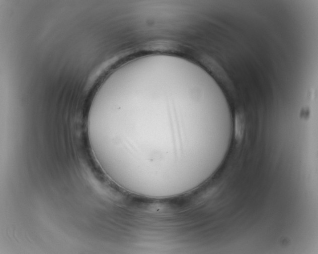 X0000112900204200909181943