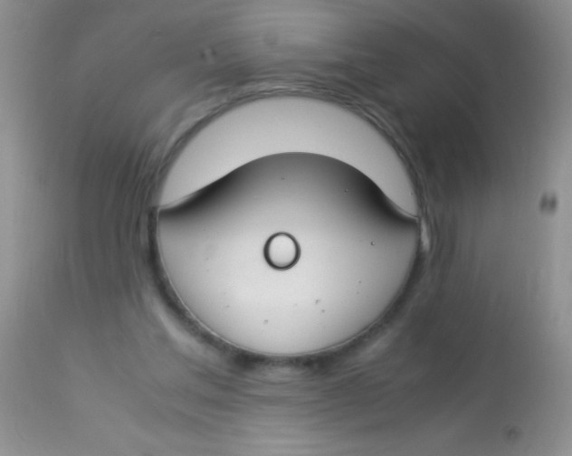 X0000112900205200909181943