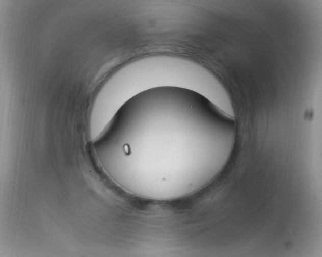 X0000112900207200909181943