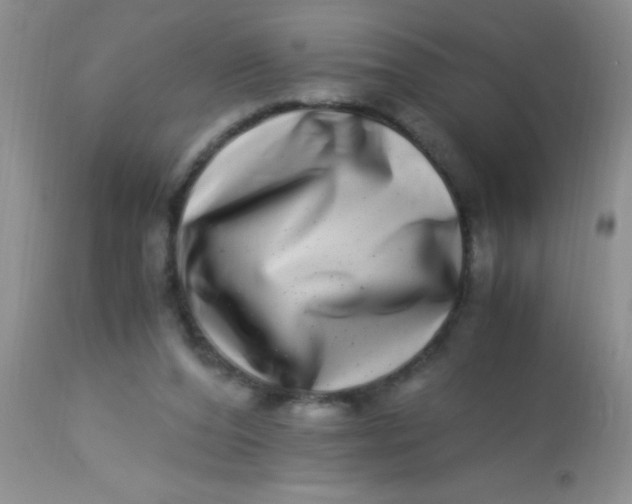 X0000112900208200909181943