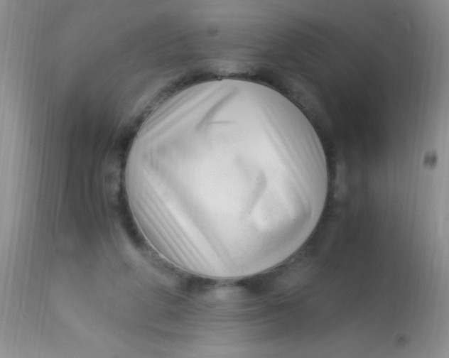 X0000112900210200909181943