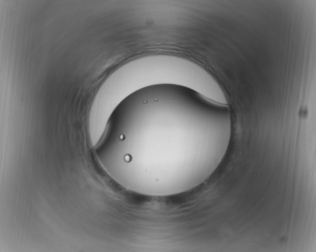 X0000112900211200909181943