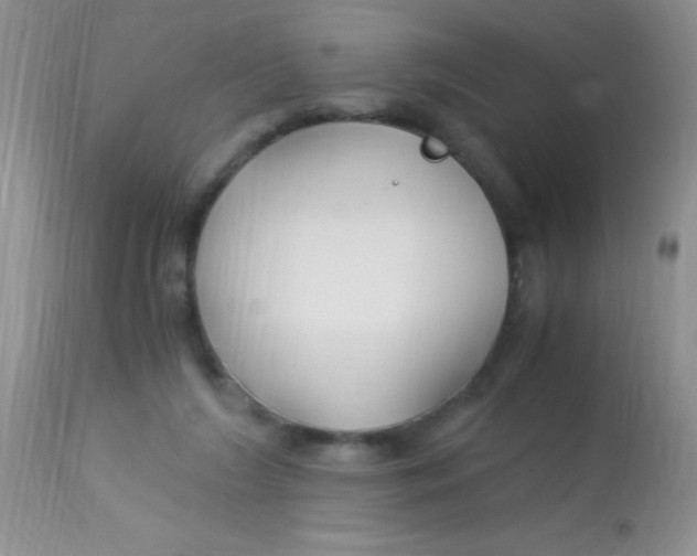 X0000112900212200909181943