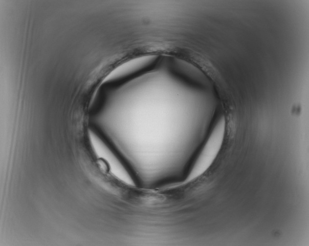 X0000112900215200909181943