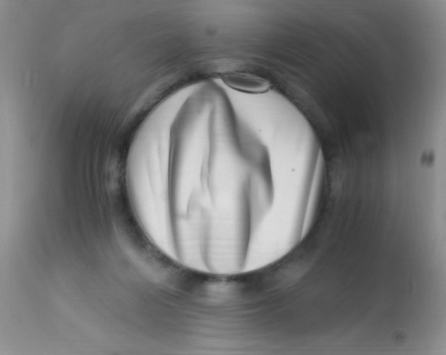 X0000112900216200909181943