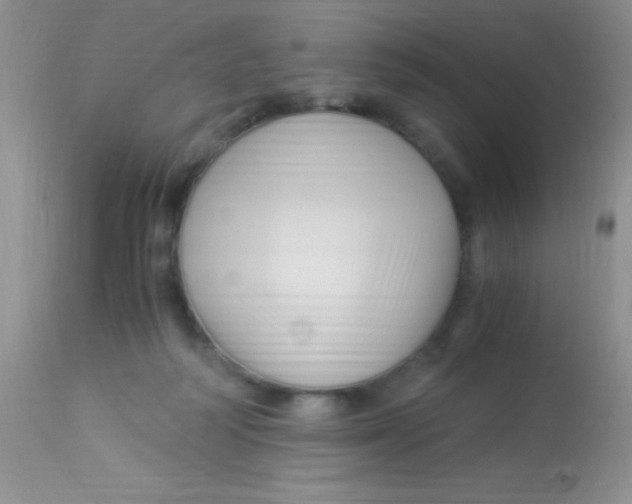 X0000112900218200909181943