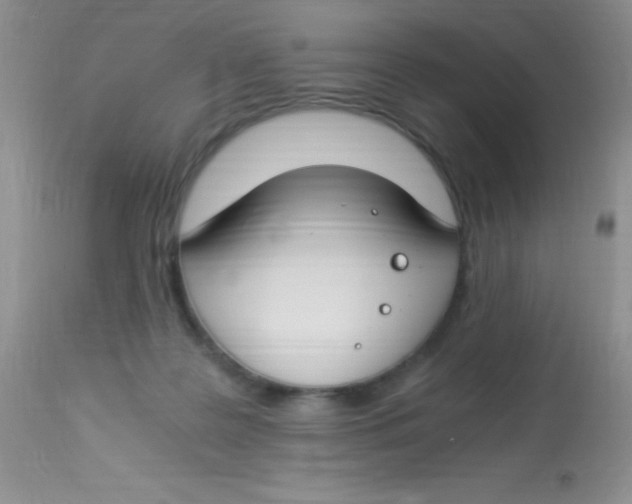 X0000112900219200909181943
