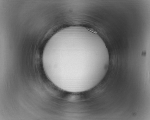 X0000112900220200909181943