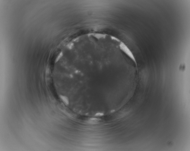 X0000112900222200909181943