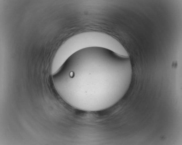 X0000112900223200909181943