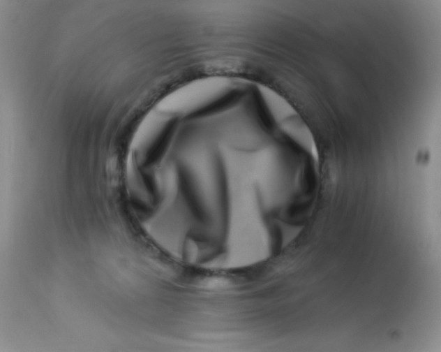 X0000112900224200909181943