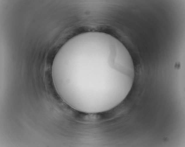 X0000112900225200909181943