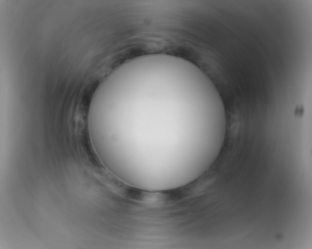 X0000112900226200909181943