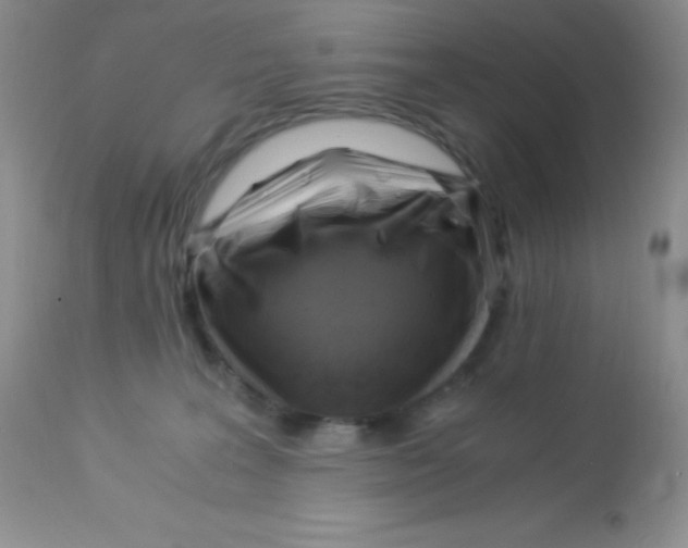 X0000112900227200909181943
