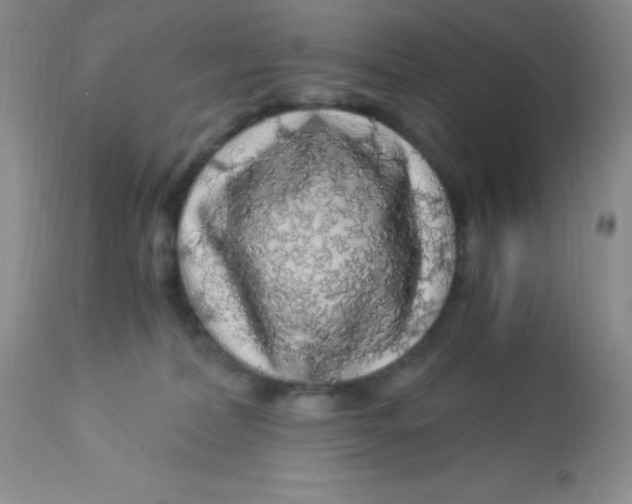X0000112900228200909181943