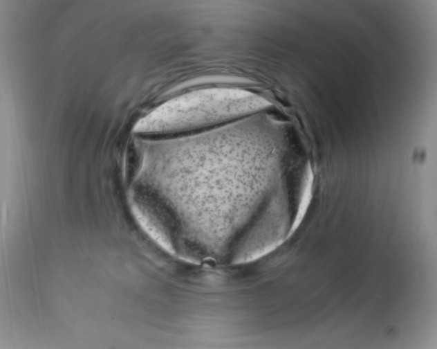 X0000112900229200909181943