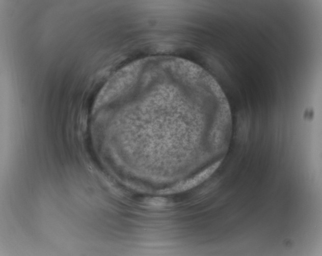 X0000112900230200909181943