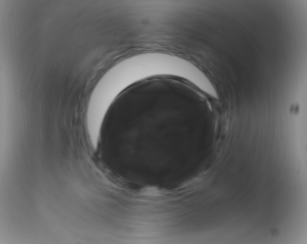 X0000112900231200909181943