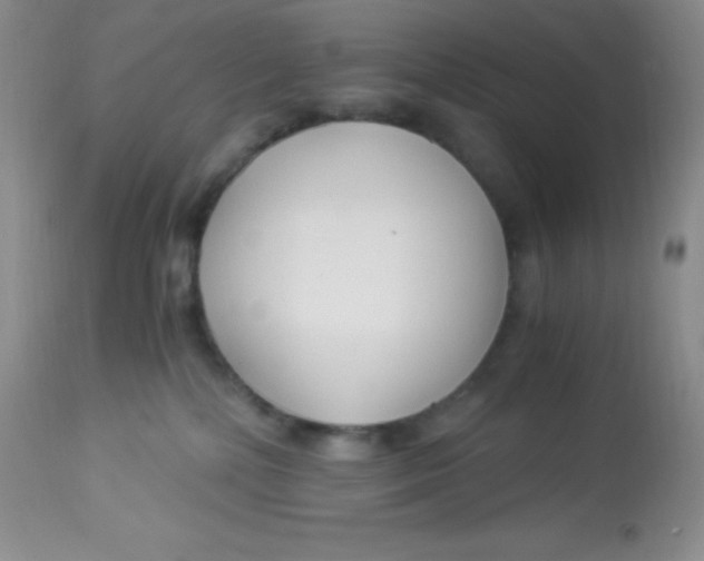 X0000112900232200909181943