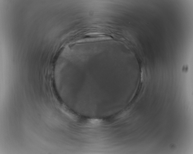 X0000112900233200909181943