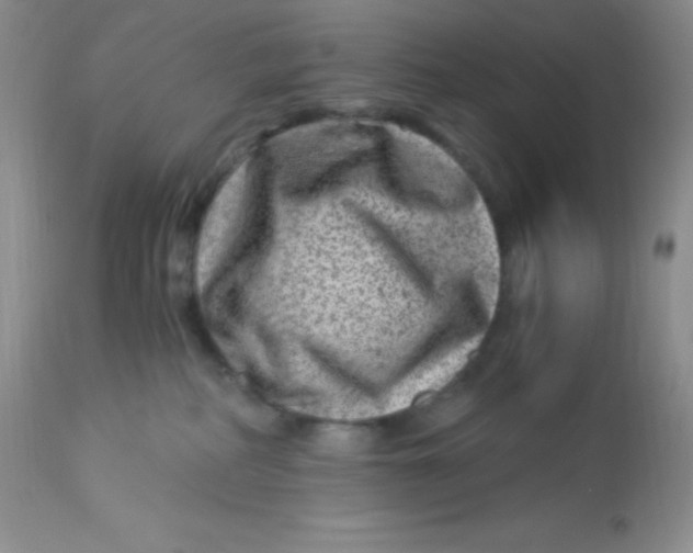 X0000112900234200909181943