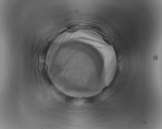 X0000112900235200909181943