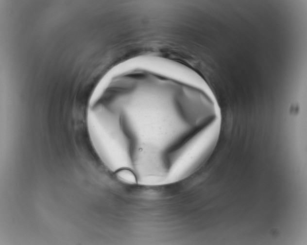 X0000112900236200909181943