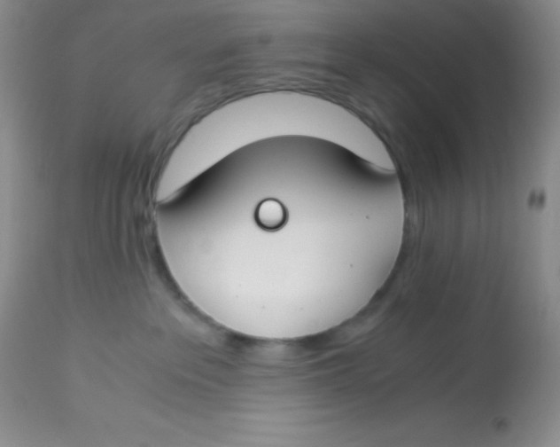 X0000112900237200909181943