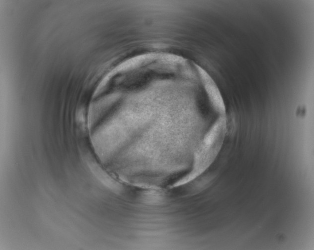 X0000112900238200909181943