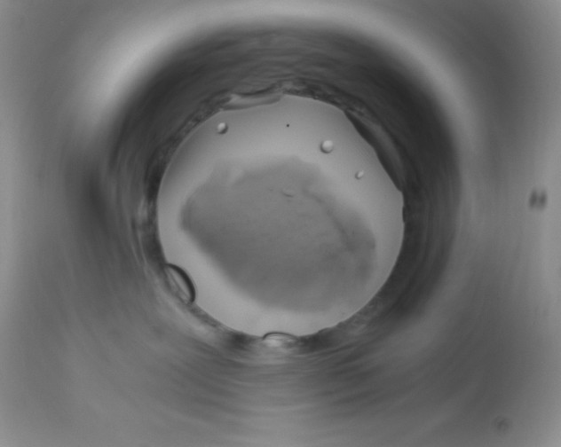X0000112900239200909181943