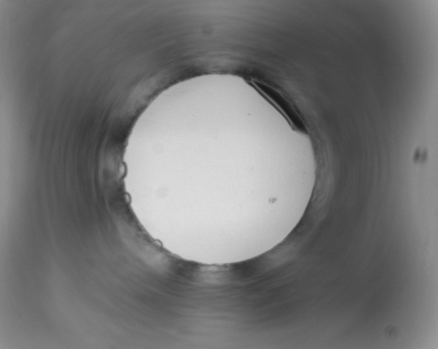 X0000112900240200909181943