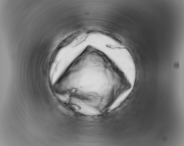 X0000112900241200909181942