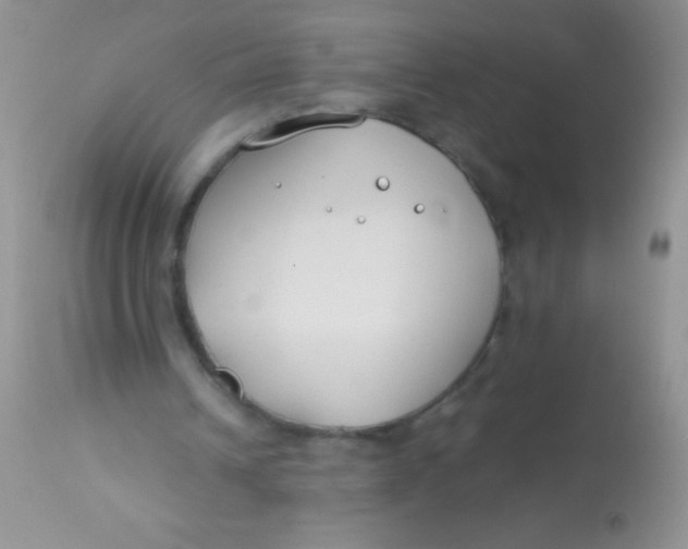 X0000112900242200909181942