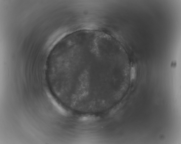 X0000112900243200909181942