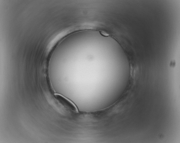 X0000112900244200909181942