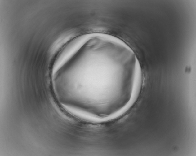 X0000112900245200909181942