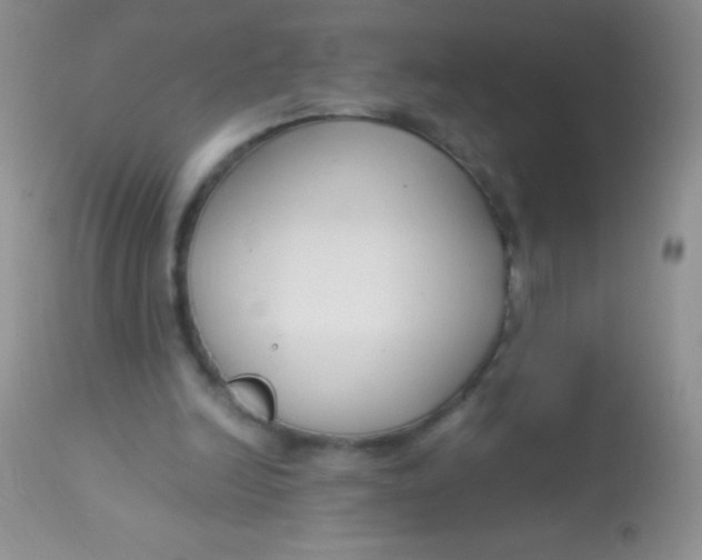 X0000112900246200909181942