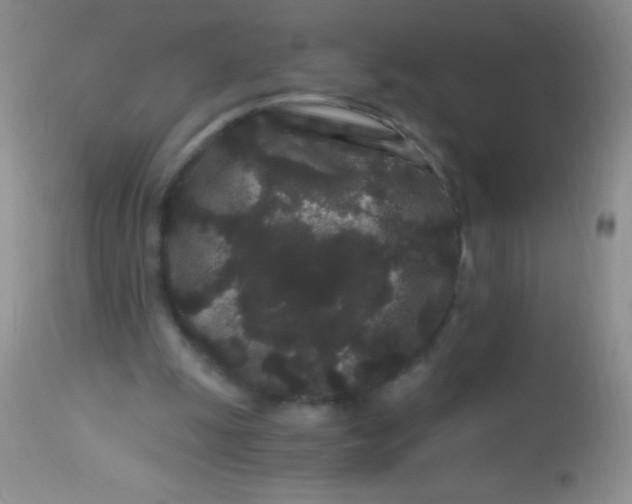 X0000112900247200909181942