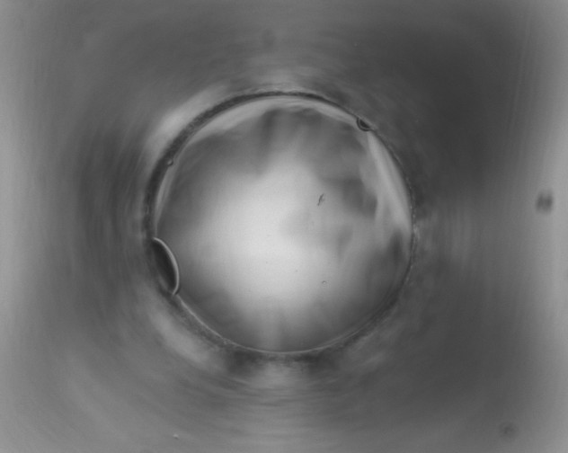 X0000112900248200909181942