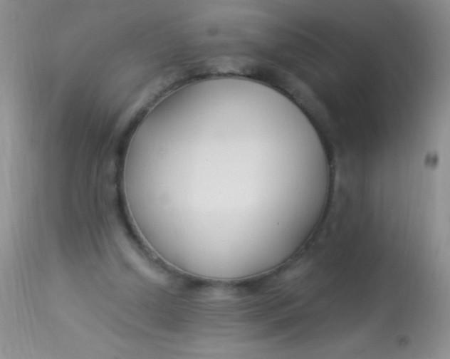 X0000112900250200909181942