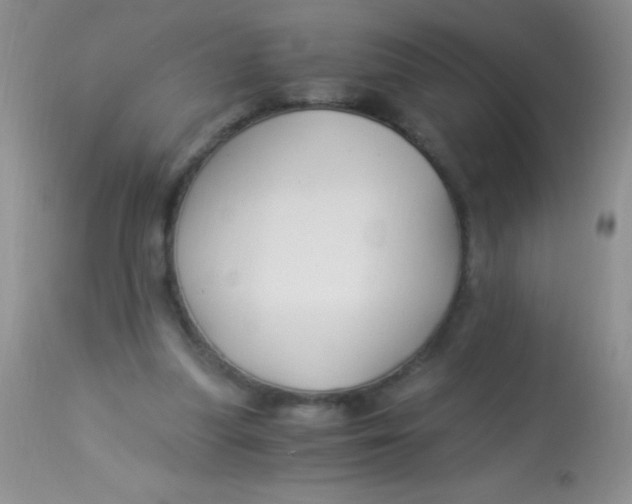 X0000112900251200909181942