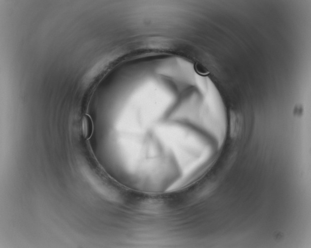 X0000112900252200909181942