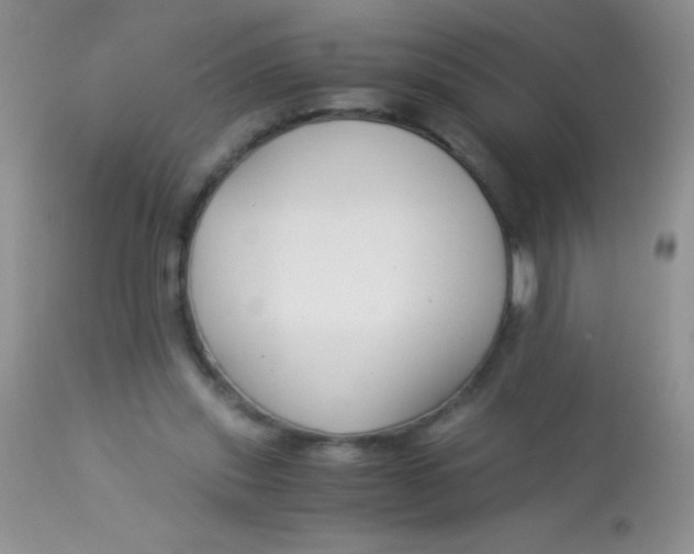 X0000112900253200909181942