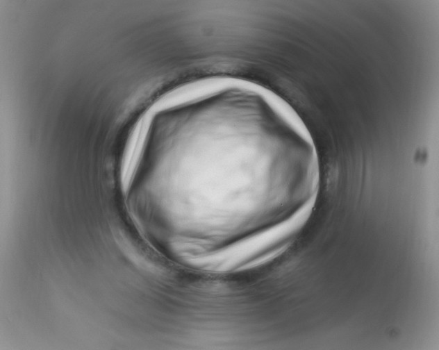 X0000112900254200909181942