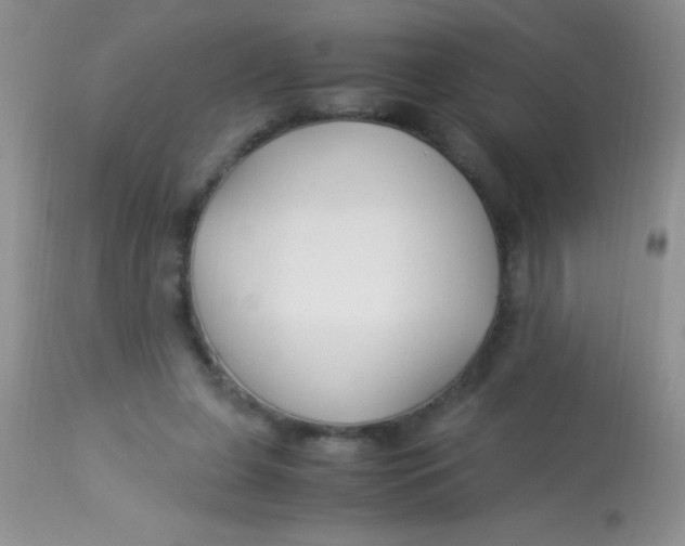 X0000112900255200909181942