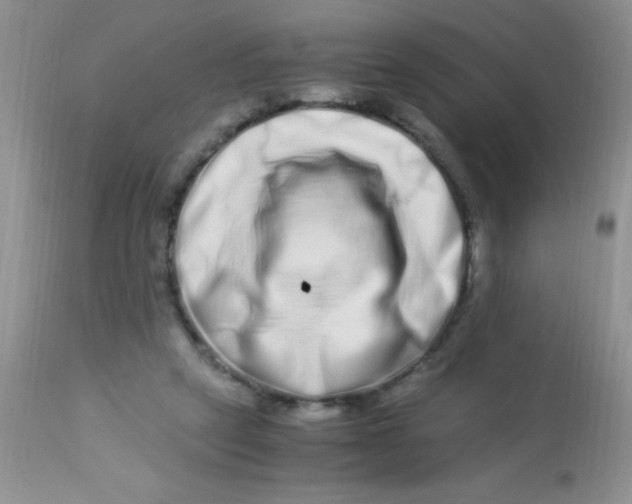 X0000112900257200909181942
