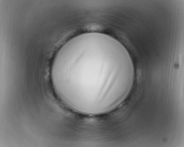 X0000112900259200909181942
